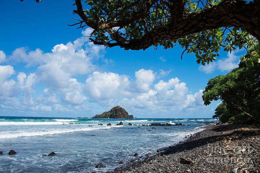 Alau Island, Maui Photograph by Mark Dahmke
