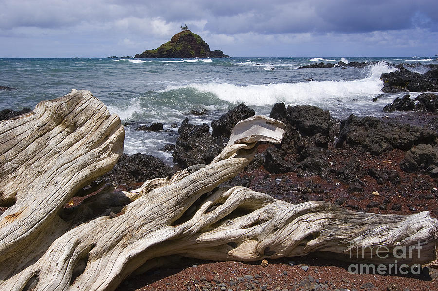 Alau Islet, Drift Wood Photograph by Ron Dahlquist - Printscapes