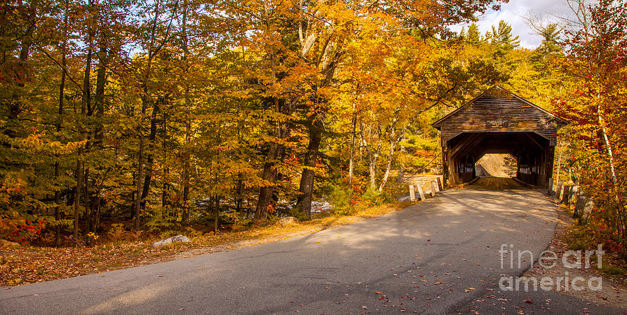 Albany Covered Bridge III Photograph by Brian Jannsen