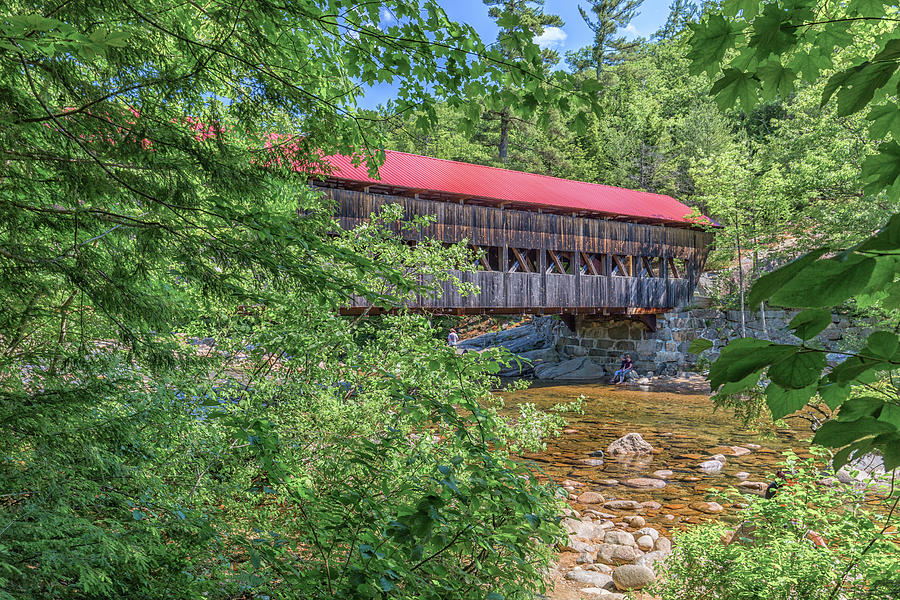 Albany Covered Bridge Through The Trees Photograph by Brian MacLean