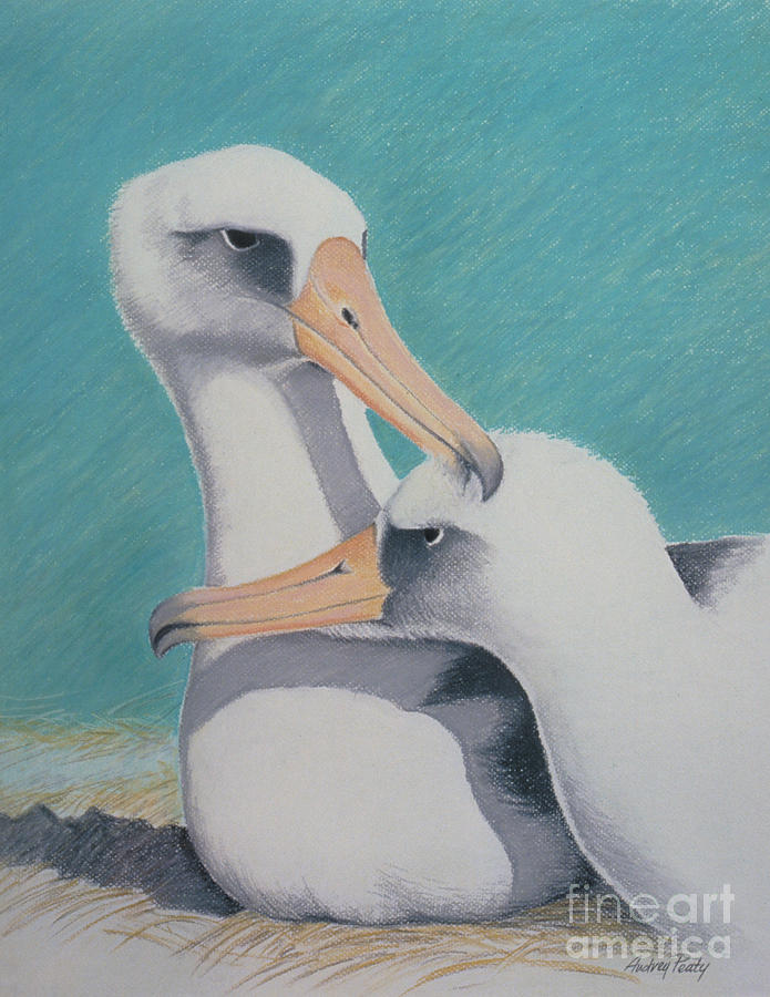 Albatros Love Pastel by Audrey Peaty