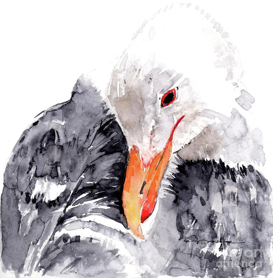 Albatross Painting by Claudia Hafner