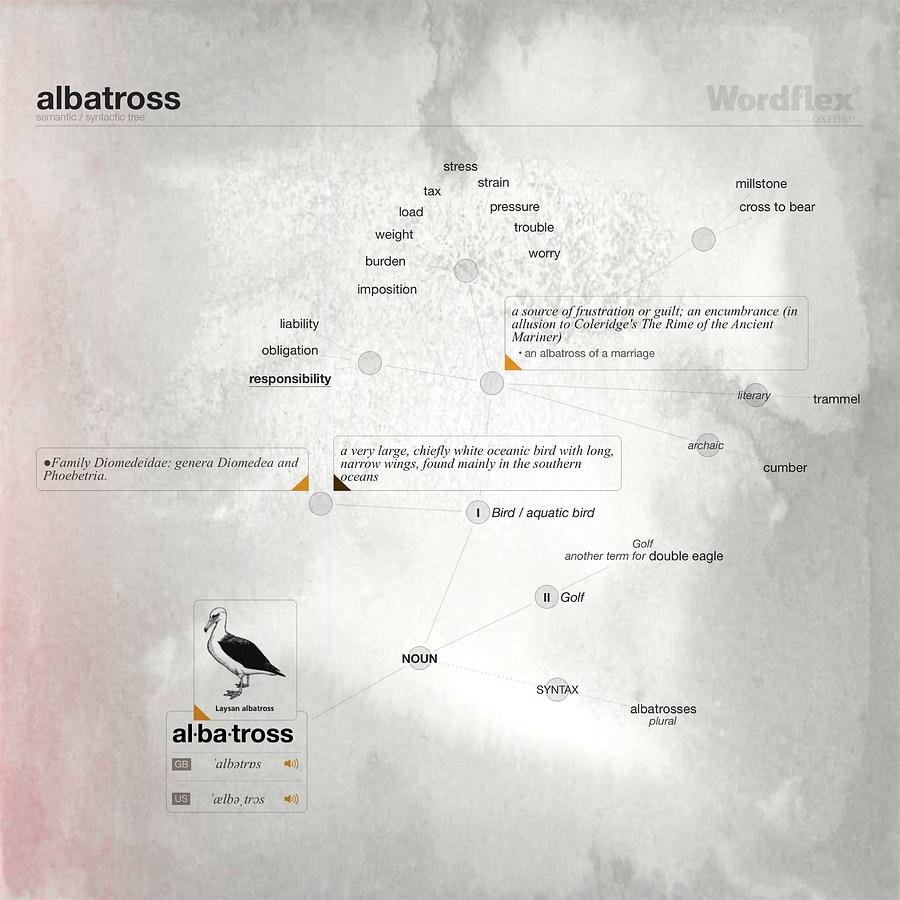 Albatross semantic tree Digital Art by Vincent Monozlay