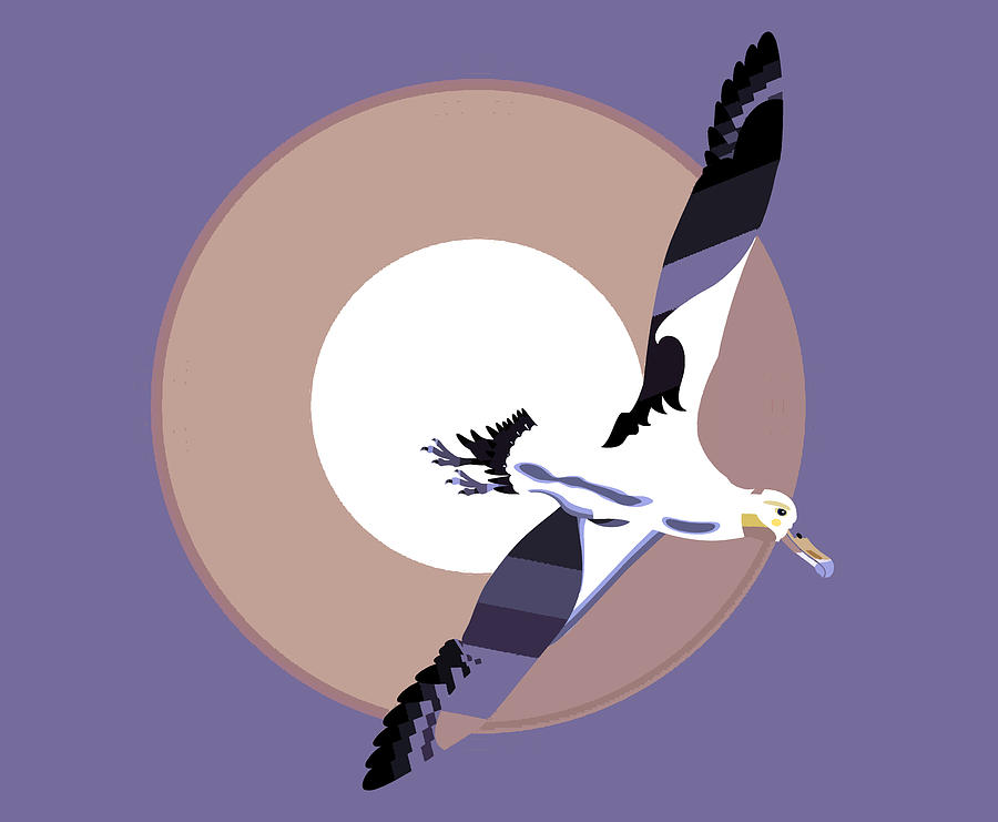 Albatross Digital Art - Albatross soaring with wings spread by Richard Gage
