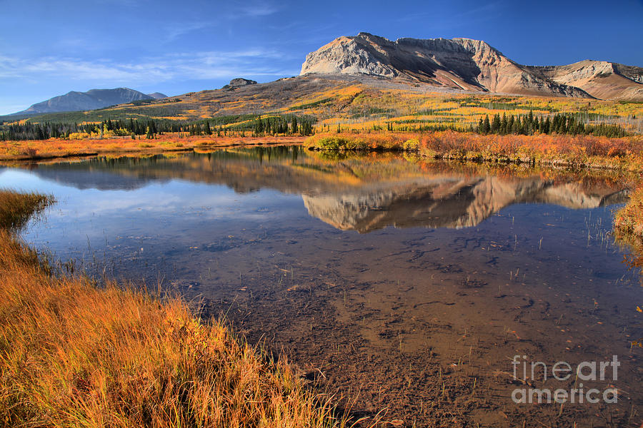 Alberta Afternoon Reflections Photograph by Adam Jewell