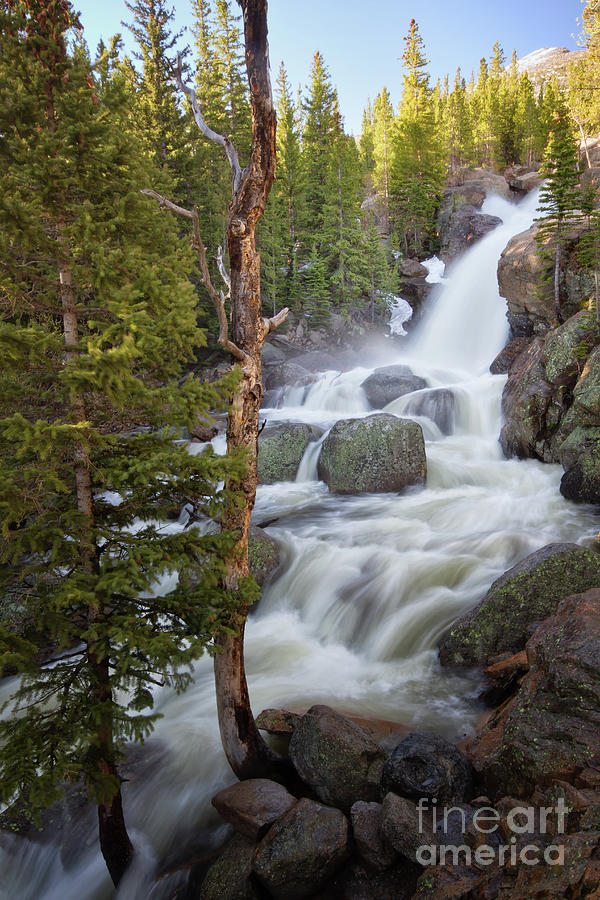 Rocky Mountain National Park Photograph - Alberta Falls in Rocky Mountain National Park by Ronda Kimbrow