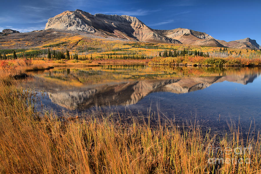 Alberta Mountain Reflections Photograph by Adam Jewell
