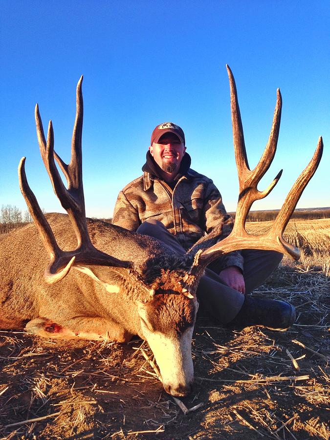 Alberta Mule Deer Photograph by Jason Radakovich - Pixels