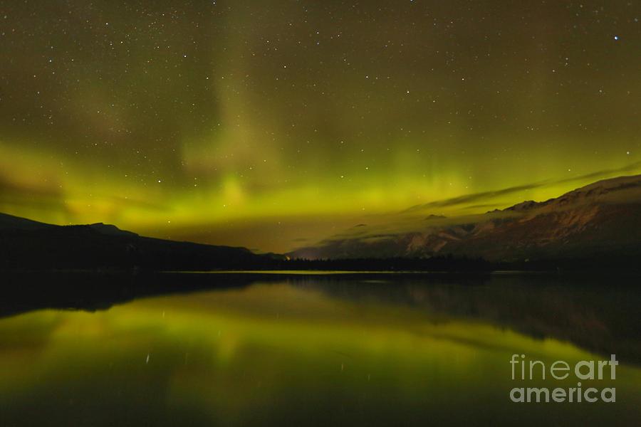 Alberta Northern Lights Photograph by Adam Jewell