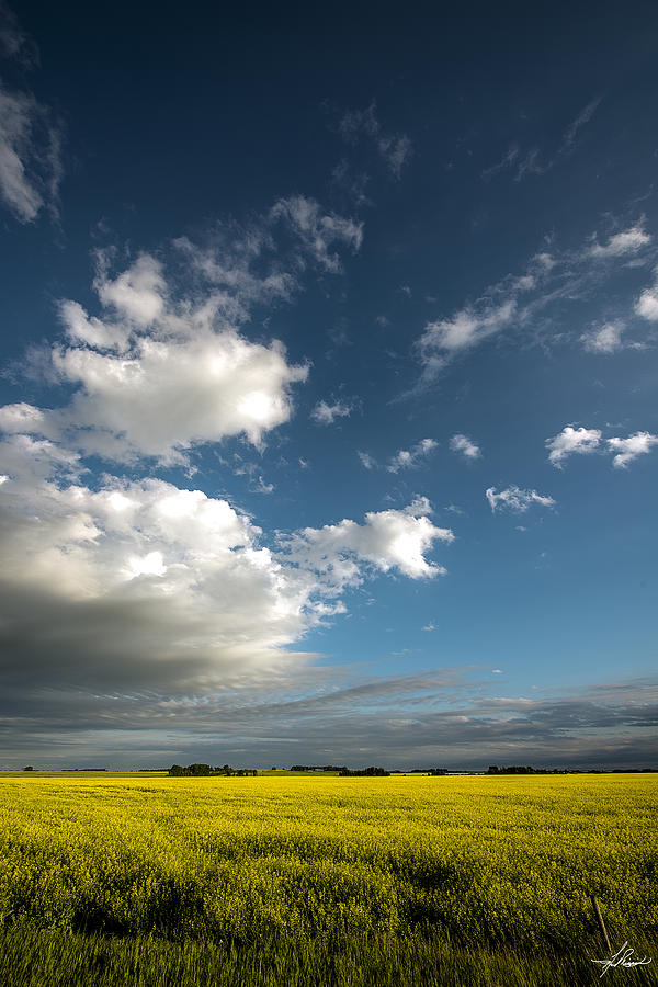 Summer Photograph - Alberta Sky by Phil And Karen Rispin