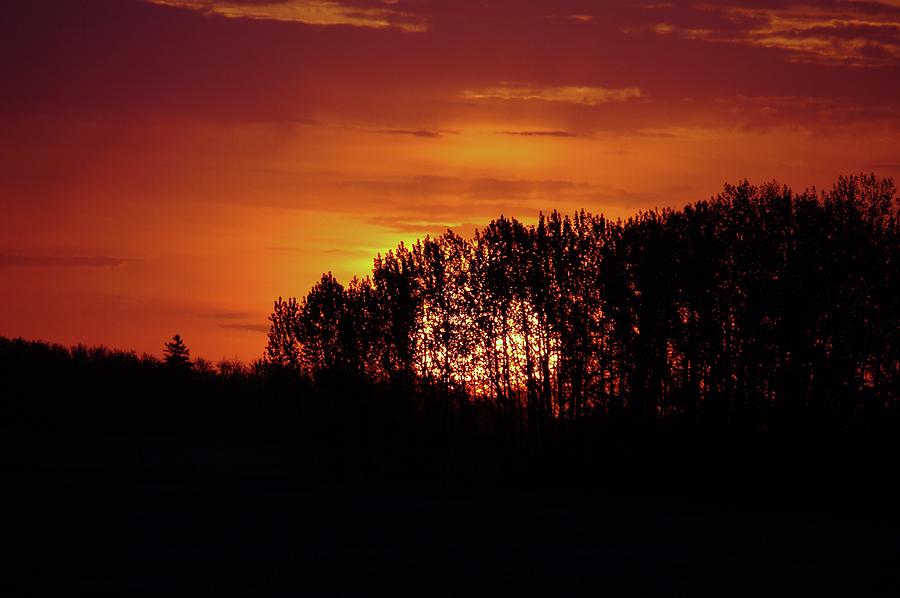 Sunset Photograph - Alberta Sunset by Jeff Swan