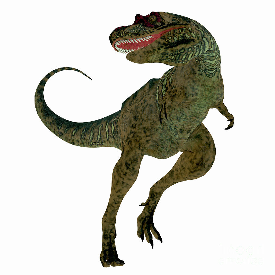 albertosaurus dinosaur