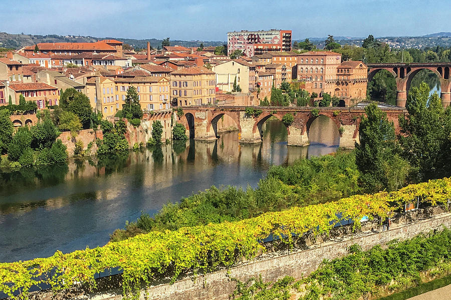 Albi France Photograph by Alan Toepfer