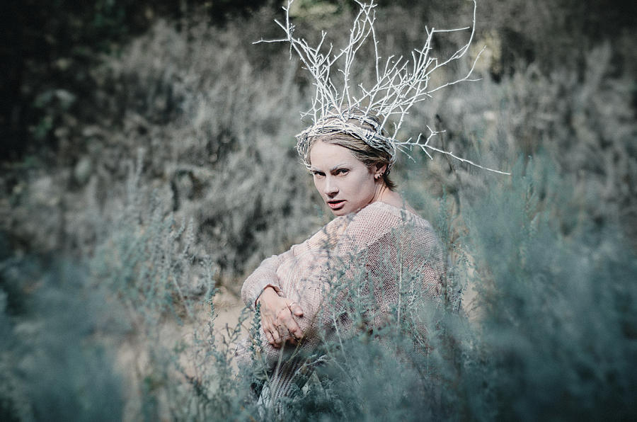 Albino in the Forest 1. Prickle Tenderness Photograph by Inna Mosina