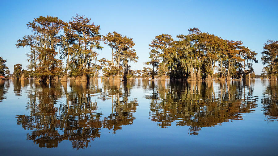 Atchafalaya Swamp 3 Louisiana Photograph by Lawrence S Richardson Jr