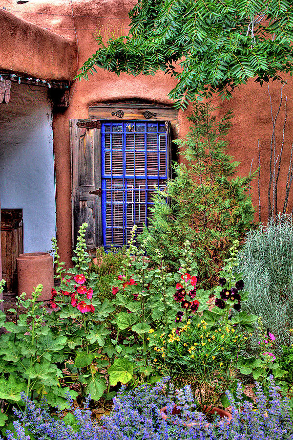 Albuquerque Garden Photograph by David Patterson