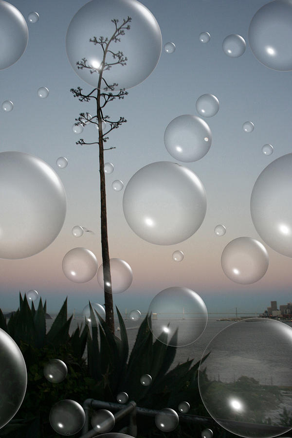 Alca Bubbles Digital Art