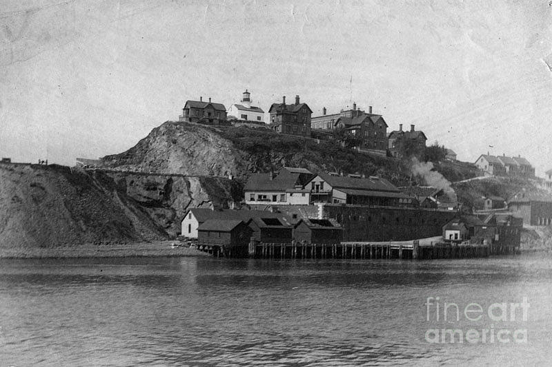 Alcatraz Island Photograph
