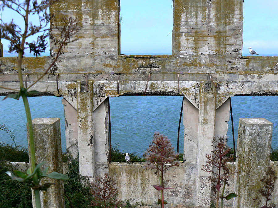 Alcatraz Windows Photograph by Laurel Powell