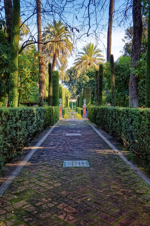 Alcazar de Sevilla Garden Path Photograph by Adam Rainoff