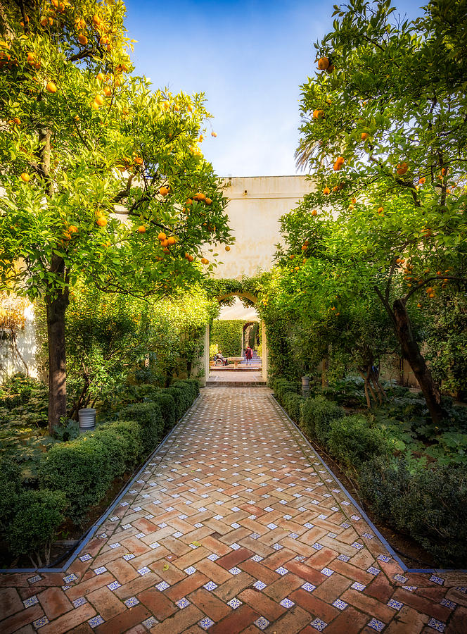 Alcazar de Sevilla Gardens Photograph by Adam Rainoff