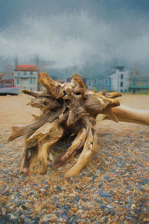 Aldeburgh Driftwood Digital Art by Roy Pedersen