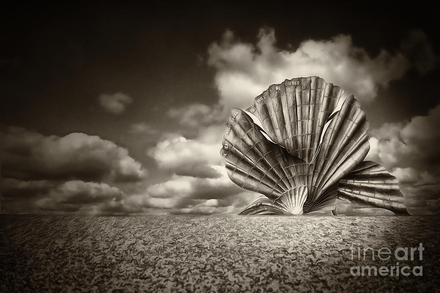 Aldeburgh Shell BW Photograph by Jack Torcello
