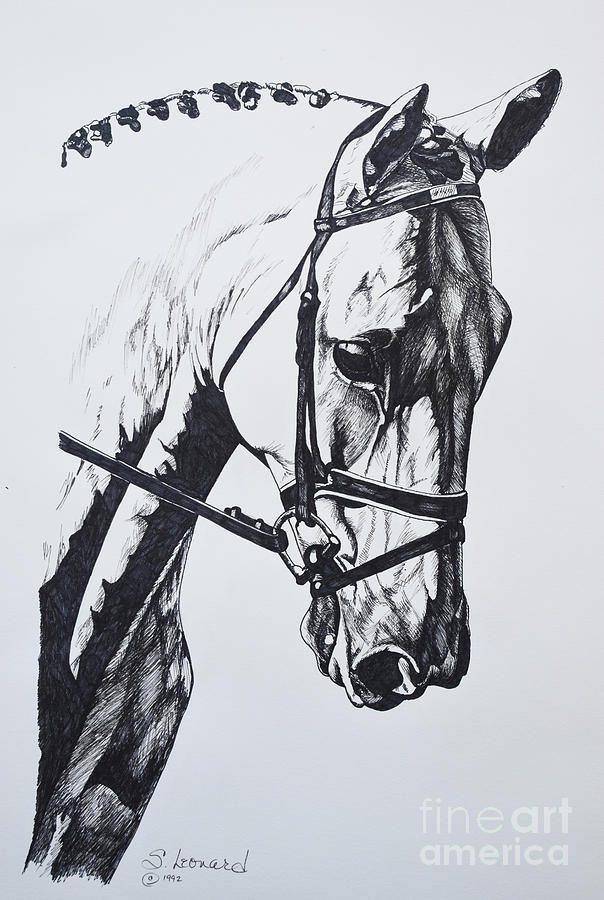 Horse Drawing - Alert by Suzanne Leonard