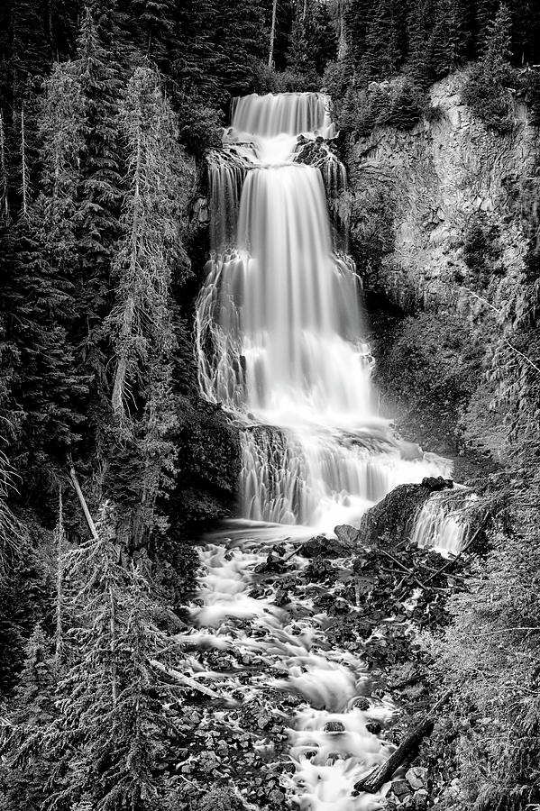 Waterfall Photograph - Alexander Falls - bw 1 by Stephen Stookey