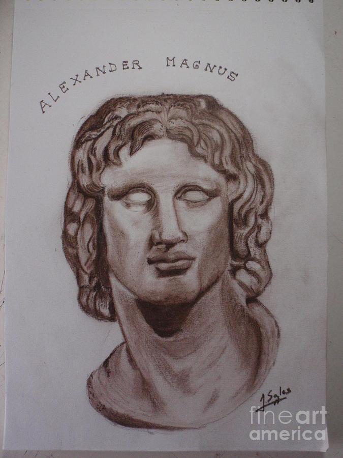 Premium Vector | The head of alexander the great the king of macedonia  persia and egypt sculpture by lysippus