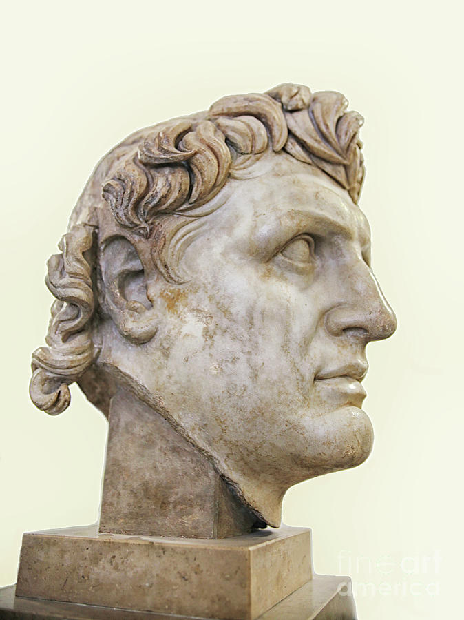 Marble head of Alexander the great  Photograph by Patricia Hofmeester