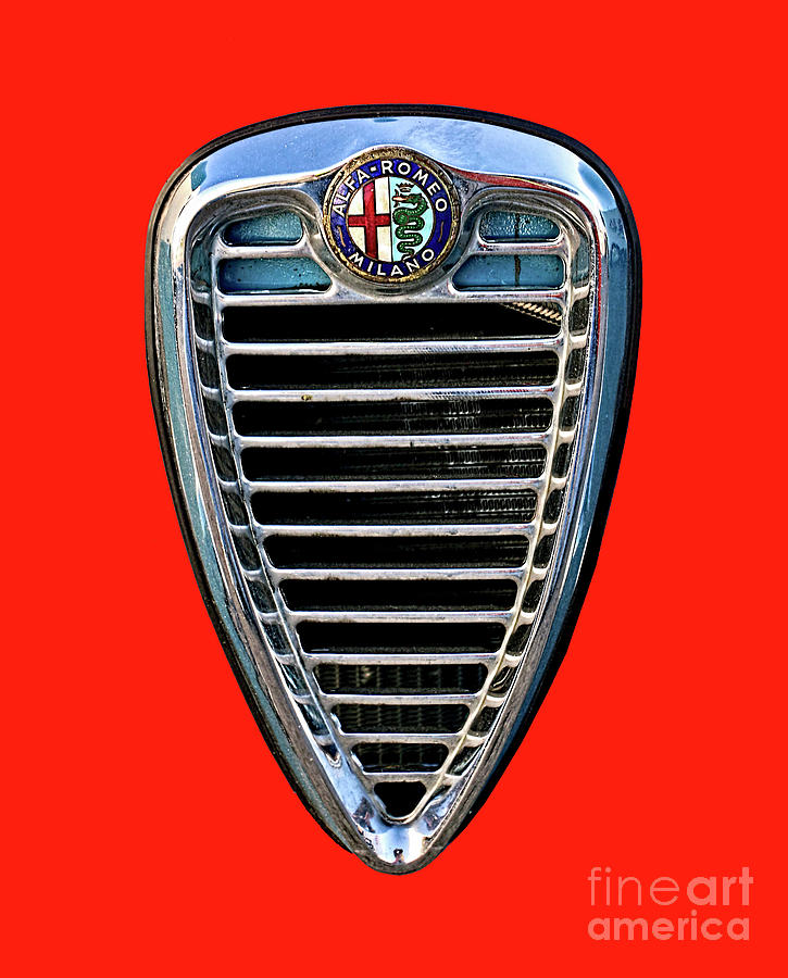 Alfa Grille Photograph by Tom Griffithe