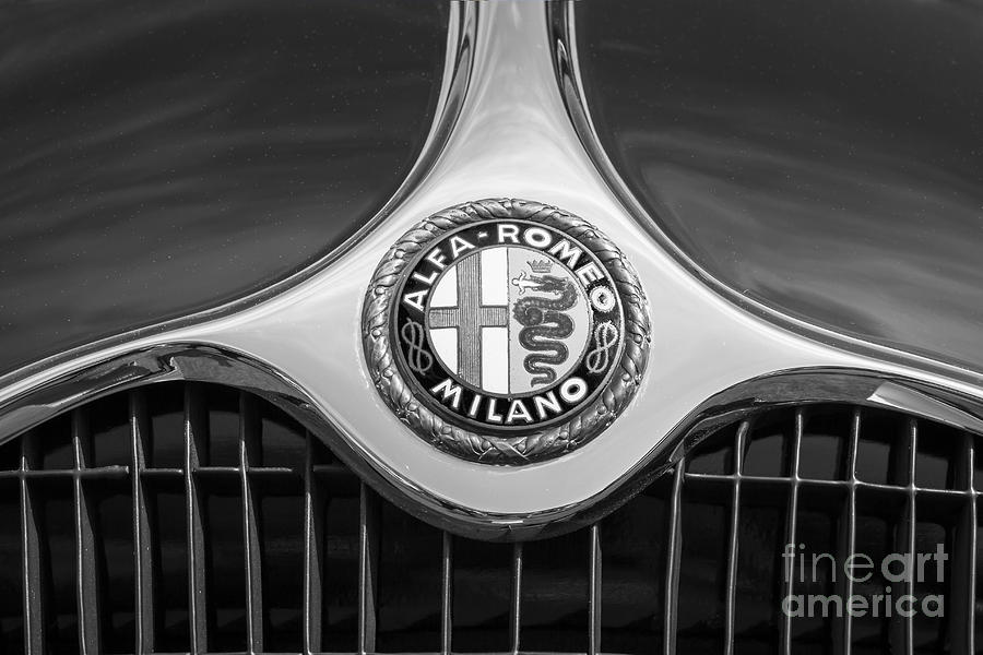 Alfa Romeo Grille Emblem Photograph by Dennis Hedberg