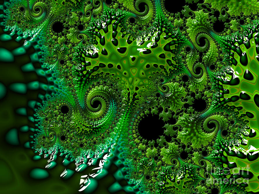 Algae Digital Art by Vix Edwards