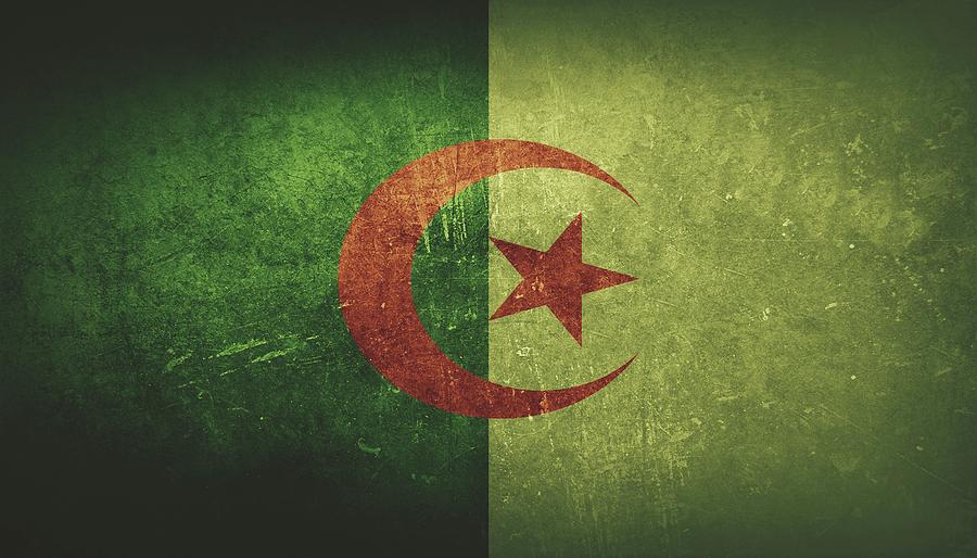 Algeria Distressed Flag Dehner Painting by David Dehner