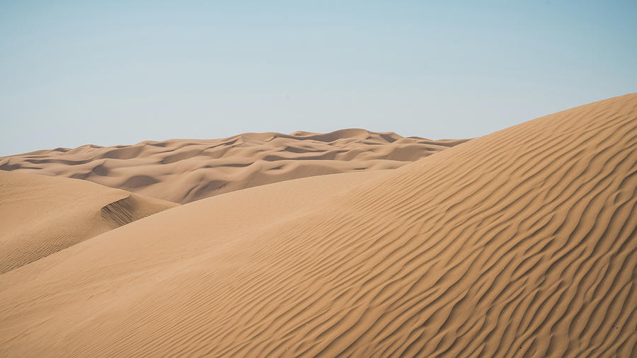Algodones Sand Dunes Ripples California Photograph by Lawrence S Richardson Jr