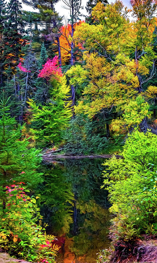 Algonquin Autumn 2 - Paint Photograph by Steve Harrington