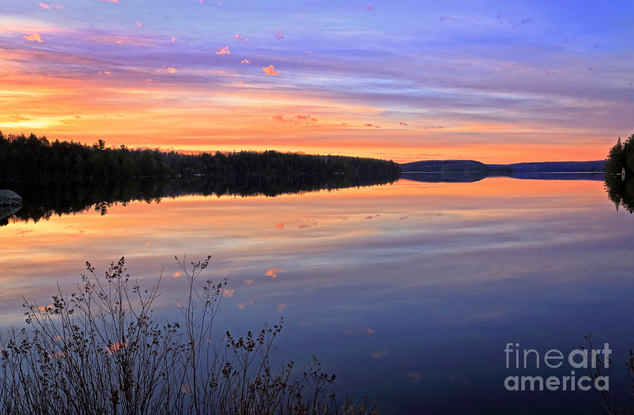Algonquin Dawning Photograph by Charline Xia