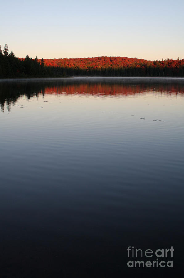 Nature Photograph - Algonquin First Light by Chris Hill