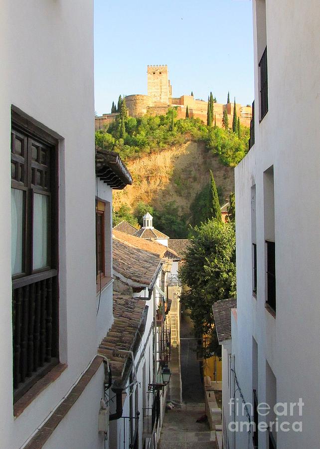 Alhambra Photograph - Alhambra desde el Albaicin 2016 by Julie Pacheco-Toye