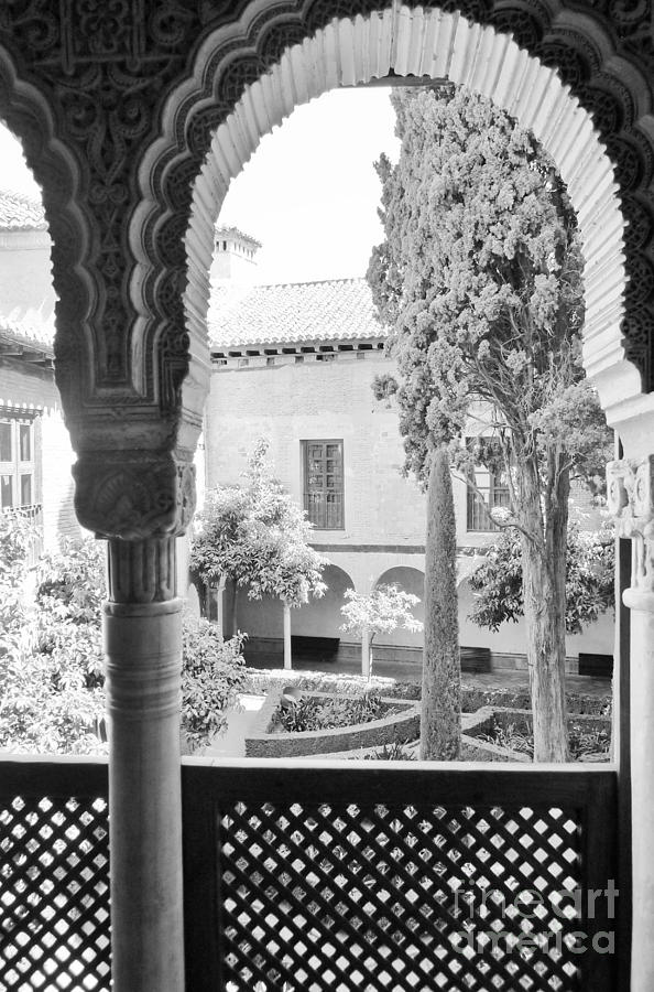 Alhambra gardens / Granada Photograph by Karina Plachetka