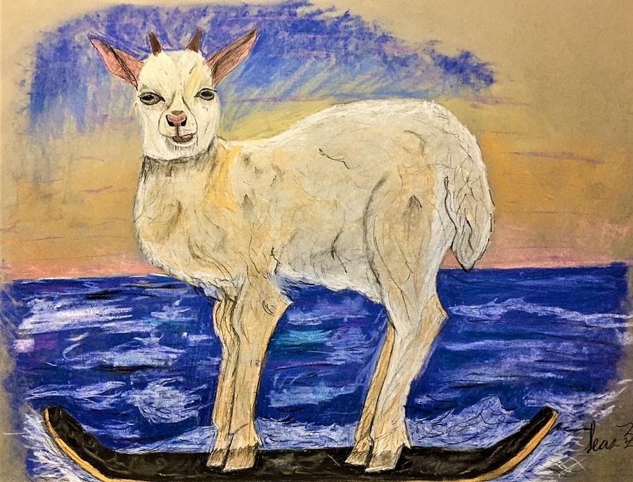 Goat Drawing - Ali G by Sean Farrar