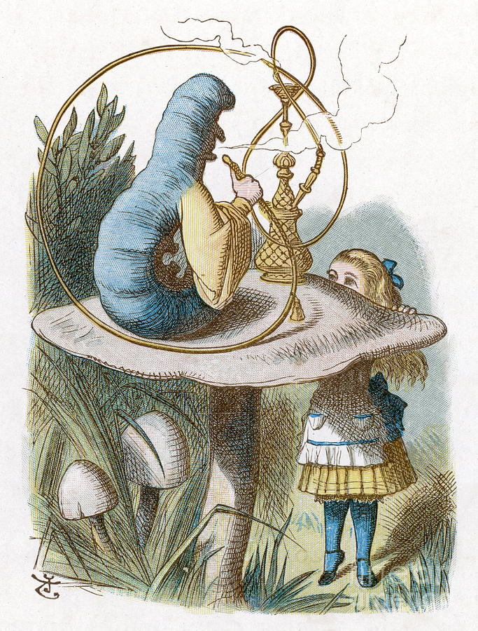 Alice and the Caterpillar in Wonderland Drawing by Mary Evans Picture
