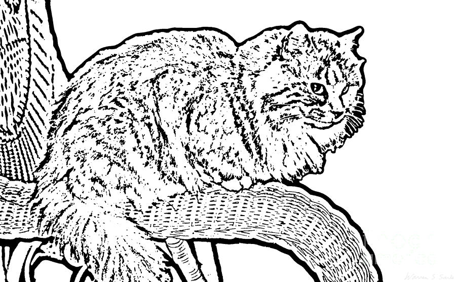 alice-on-her-favorite-chair-warren-sarle.jpg