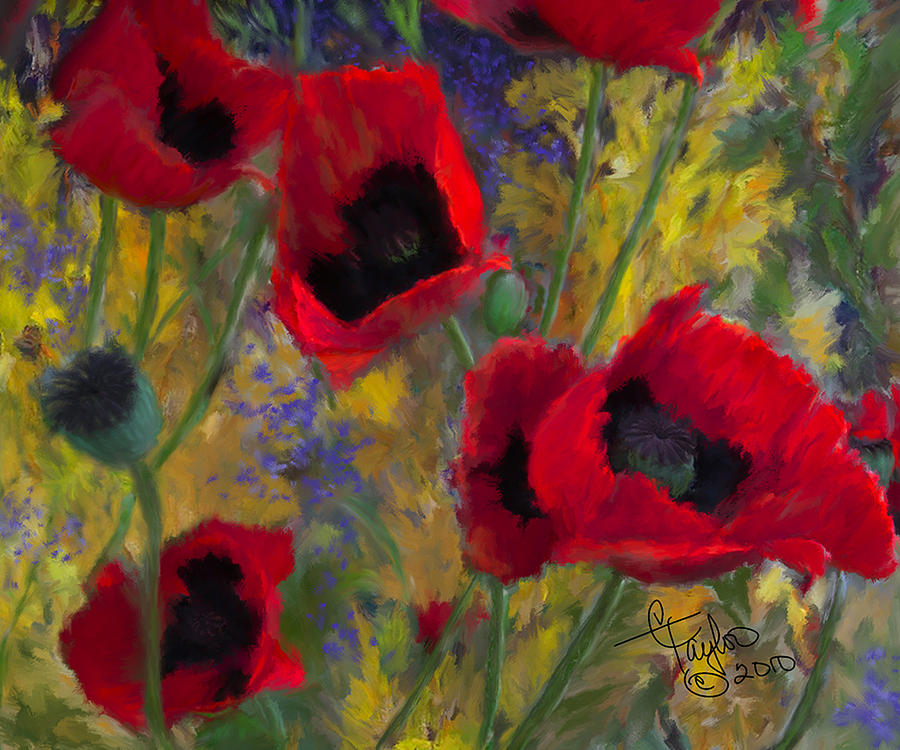 Alicias Poppies Painting by Colleen Taylor
