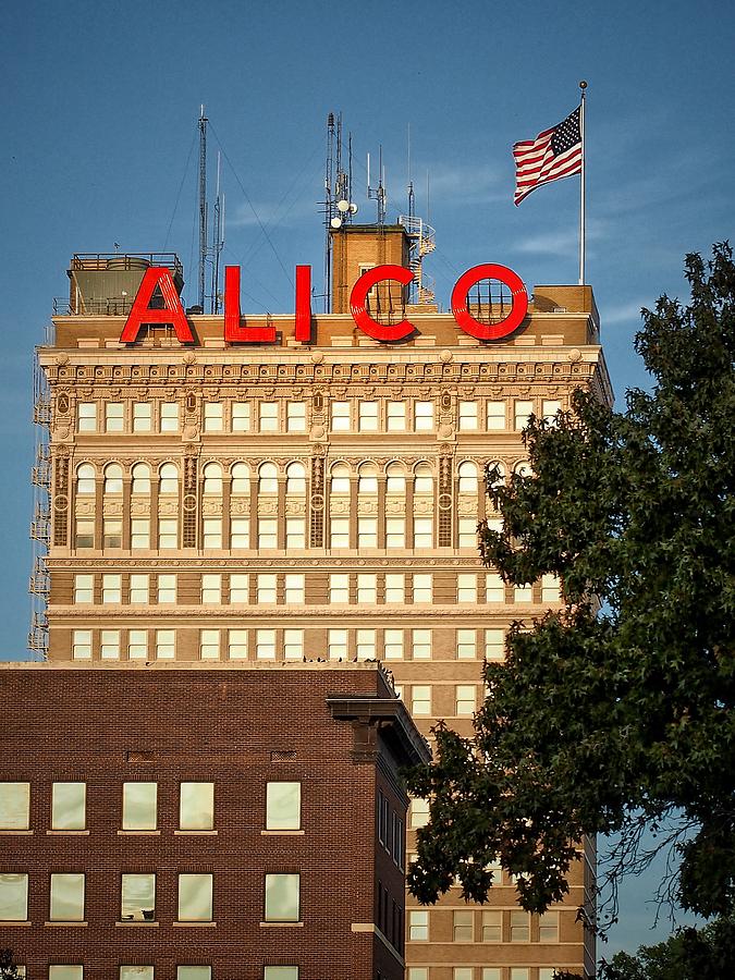 Alico Building  Photograph by Buck Buchanan