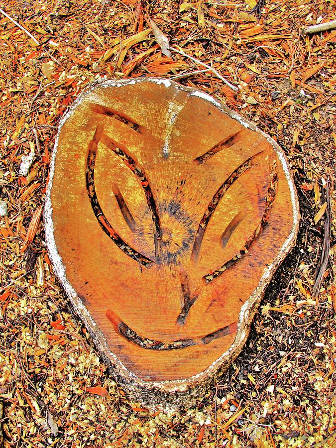 Alien 51 Tree Stump Photograph by John King I I I