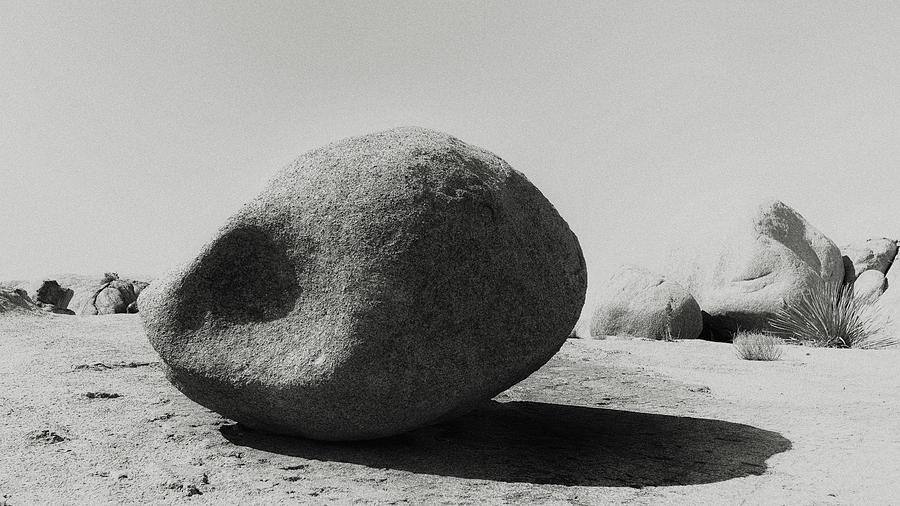 Alien Head Rock Photograph by Joseph Smith
