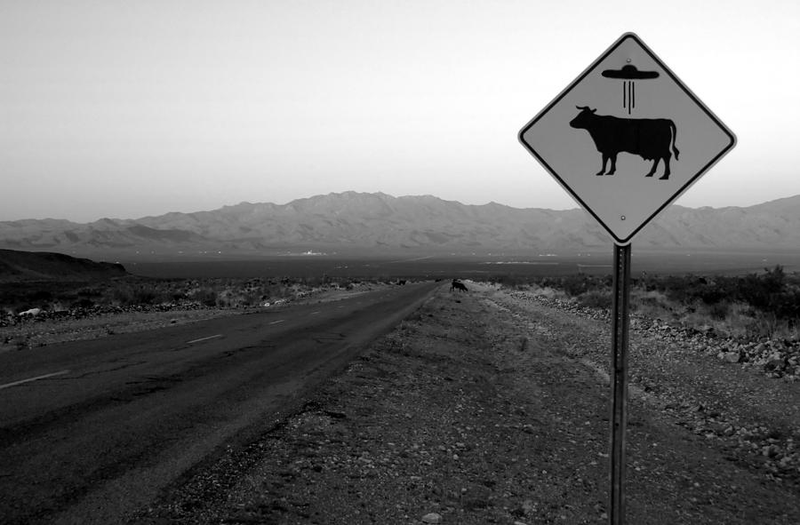 Cow Photograph - Alien Highway by David Lee Thompson
