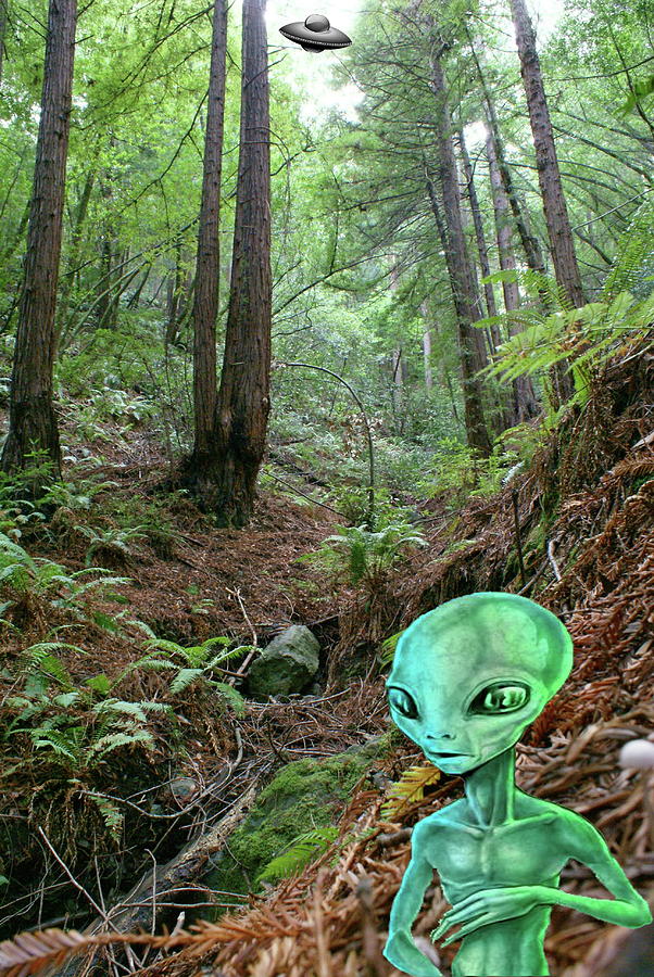 Alien in Forest Photograph by Ben Upham III